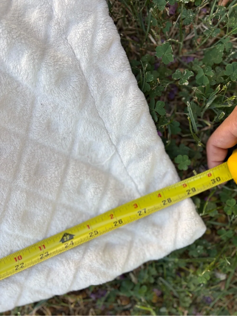 Disney measurements included